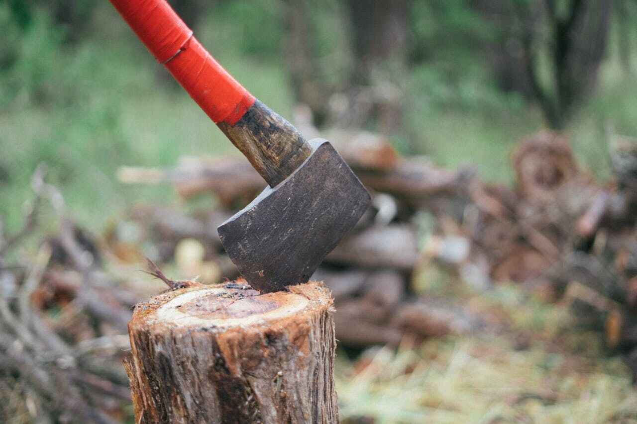 Best Tree Removal Near Me  in USA